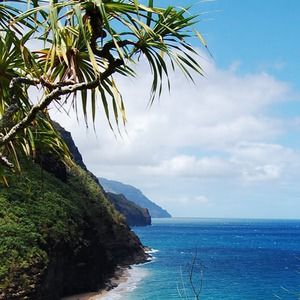 Meet your Posher, Brettany